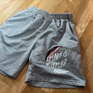 Santa Cruz Skateboards Gray Shorts with White and Pink Graphic